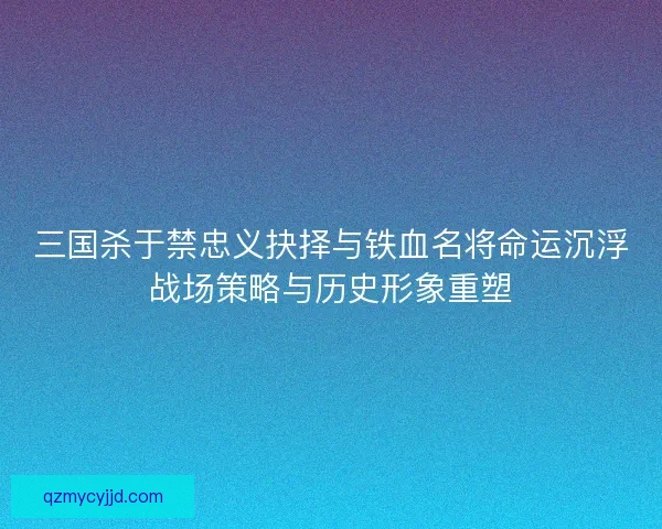 三国杀于禁忠义抉择与铁血名将命运沉浮战场策略与历史形象重塑